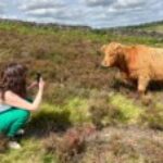 Profile photo of Abigail